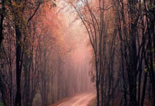 Bwin:稳妥篮球说03-22.