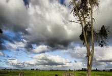 Bwin:文班亚马肩部血栓赛季报销 马刺季后赛希望渺茫.