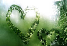 Bwin:追光丨一银一铜的中国队 米兰前路几何?.